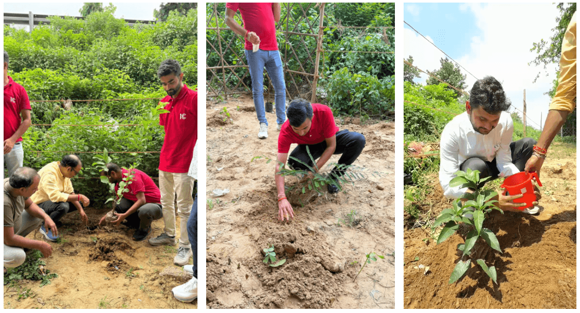 Sustainable Forests / Smriti Van