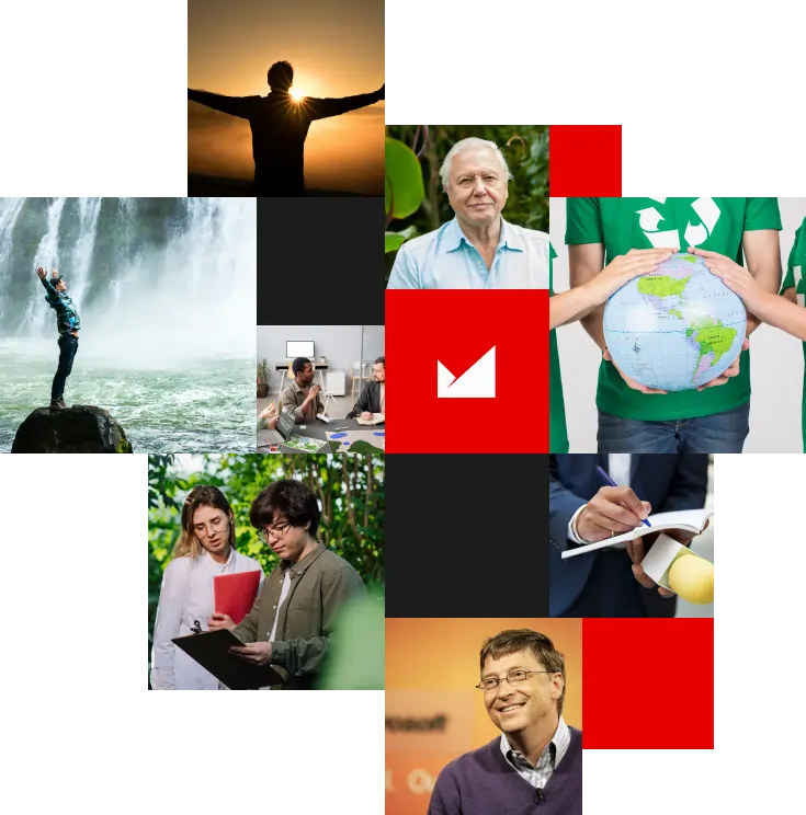 Who is the MEF Fellowship for