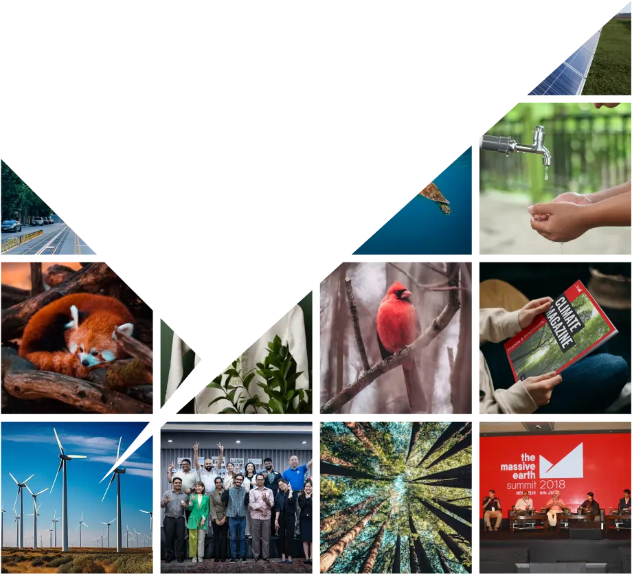 MEF Fellowship