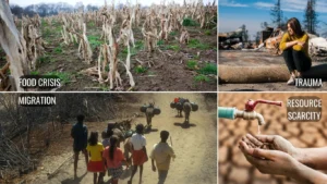 Grid image of Crop Failure, Humans in Migration, Water Scarcity, and Traumaitzed women after disaster to show compounded effects of climate change on human activities.