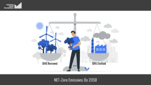 Feature image to visually represent Net Zero