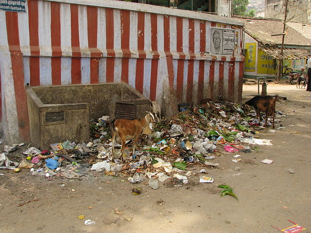 Image of unmaintained garbage dump in India to show problems of Food Wastage.