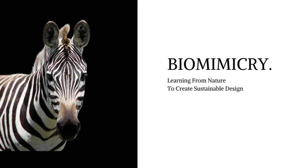 Feature image for blog post on role of Biomimicry in circular economy.