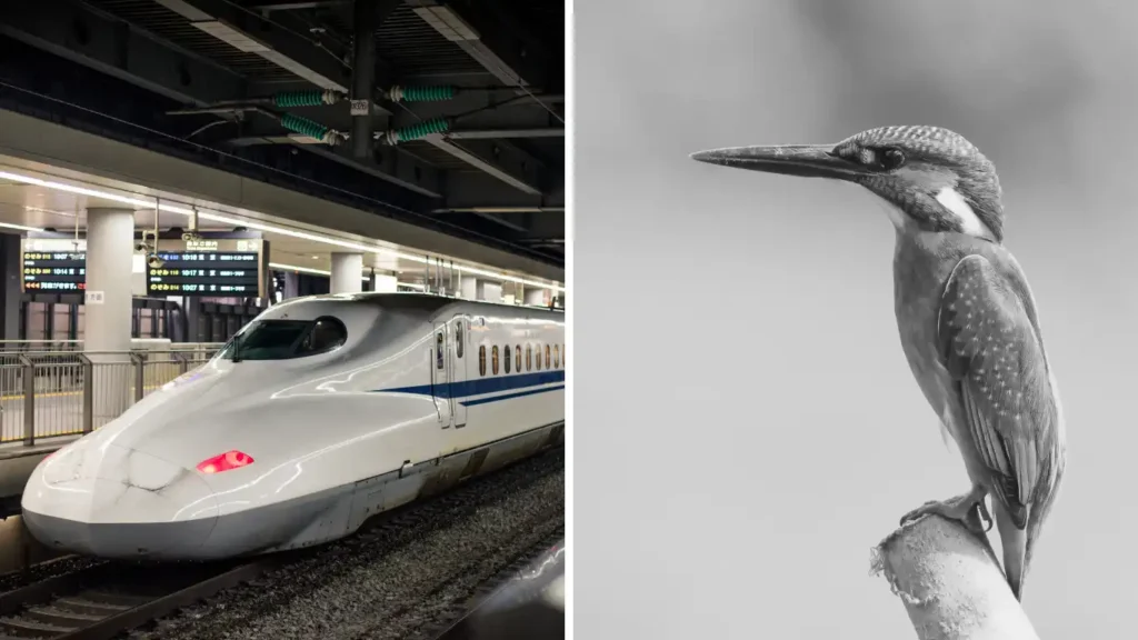 Shinkansen bullet train & Kingfisher