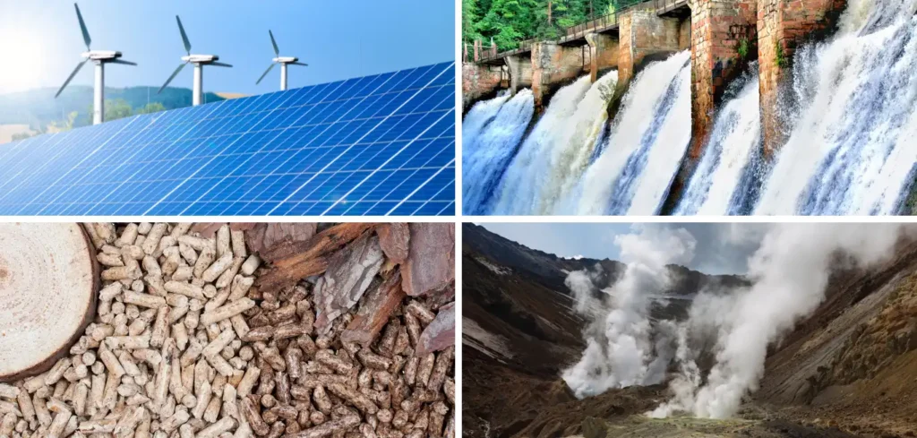 5 sectors of Renewables - 
1. Solar 
2. Wind 
3. Hydro 
4. Geothermal 
5. Biomass