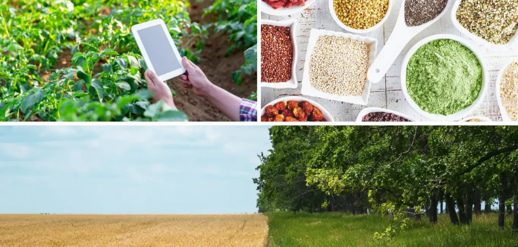 Invest In Sustainable Agriculture:
1. Precision Agriculture
2. Alternative Protein 
3. Regenerative Agriculture.