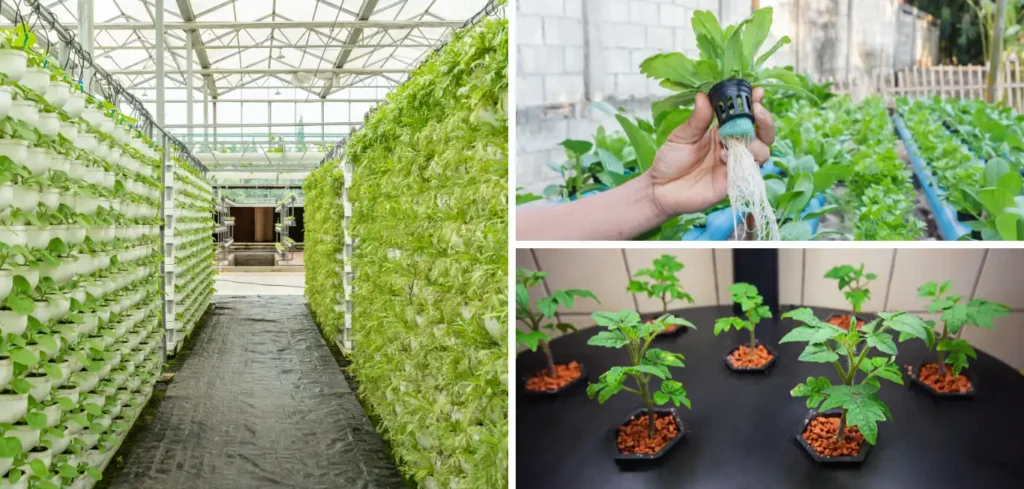 AgriTech Example - Vertical Farming, Hydroponics, and Aeroponics.