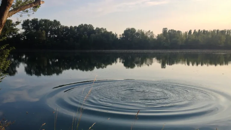 A ripple in the pond to show Nature's organic Poetry.