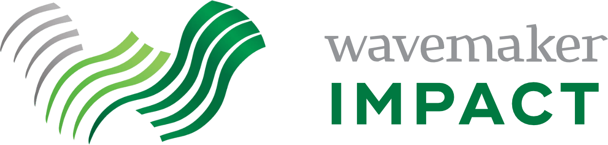 Venture Build Process – Wavemaker Impact