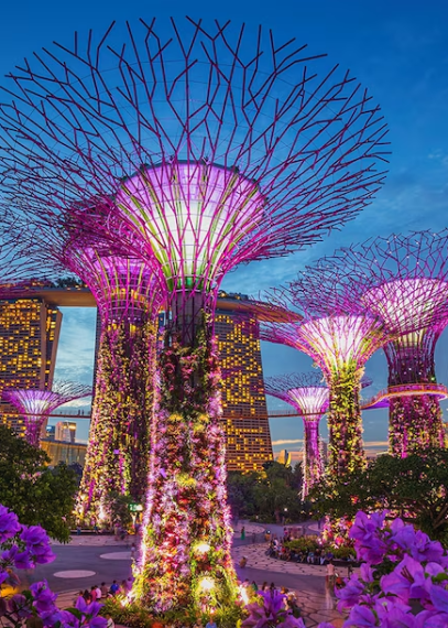 b2787afc1fdc9ad76bfe91cbf343a9c225fecba9